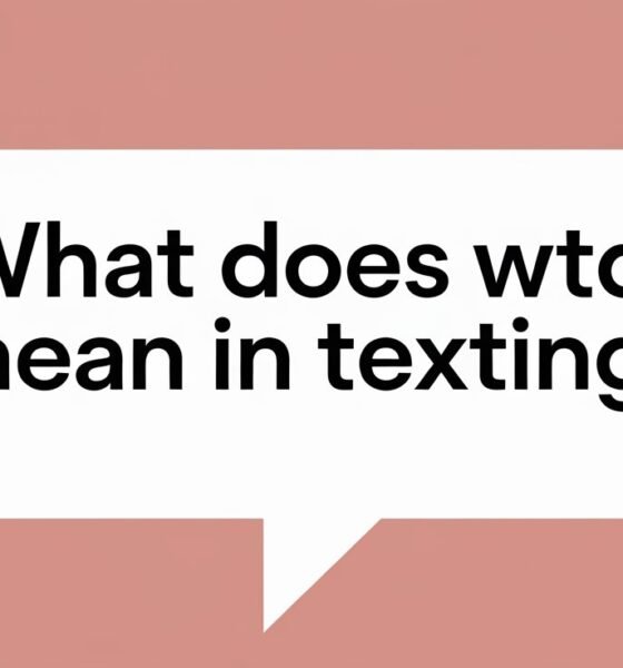 what does WTD mean in texting