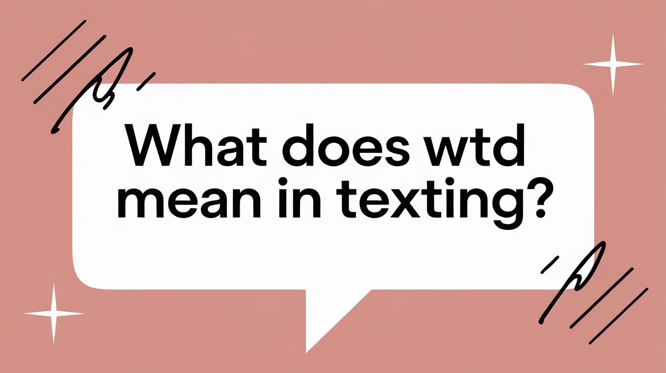 what does WTD mean in texting