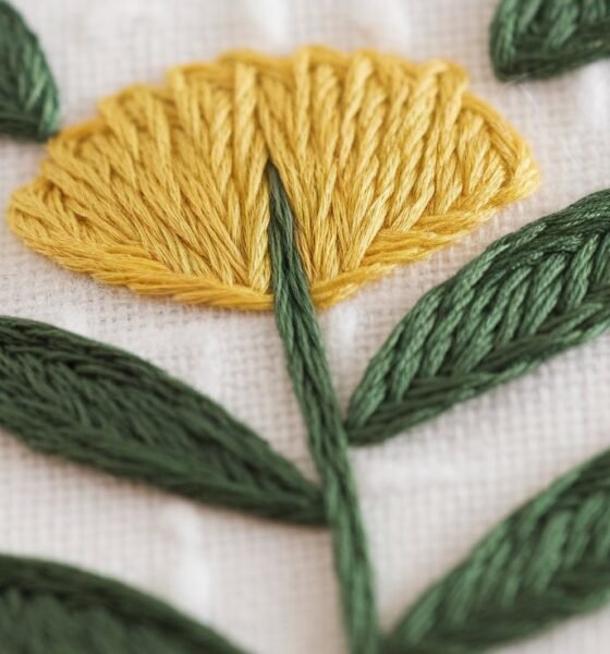 Stem stitch embroidery